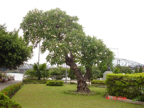 Ảnh 2. Mot goc Cu lao Pho ngay nay_600_10102025171430.jpg