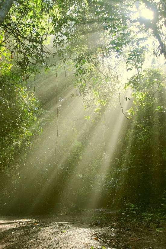 2026-DI SAN ASEAN 2.png